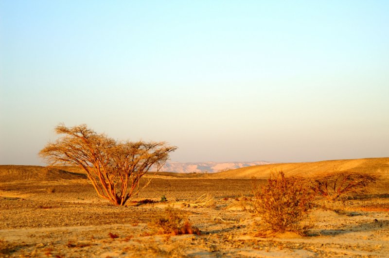 pict4416.jpg