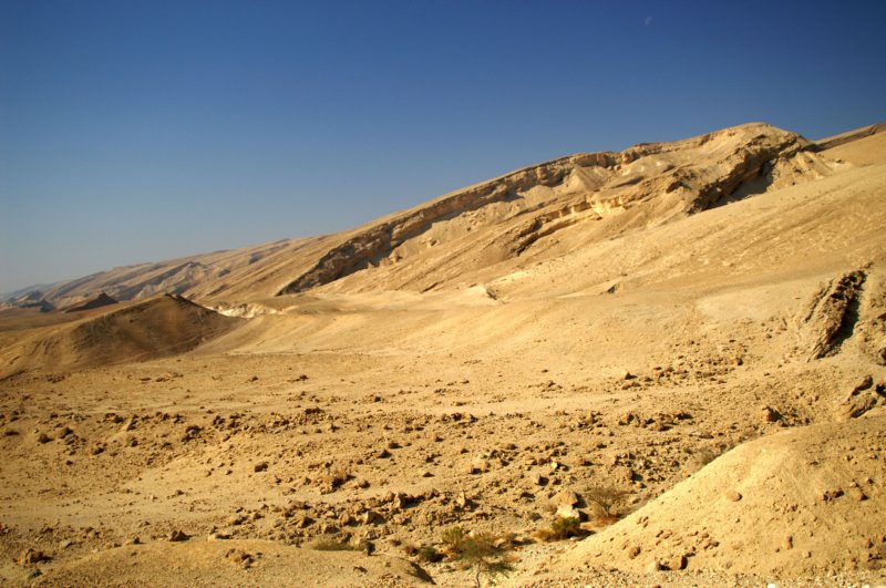 pict4439.jpg