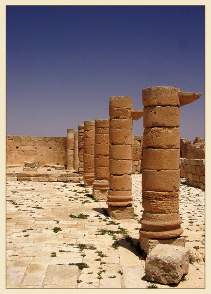 photo4.jpg