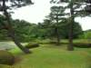pict1005_small.jpg