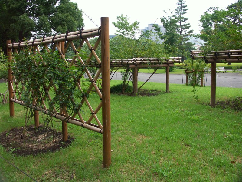 pict1065.jpg