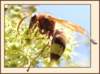 photo7_small.jpg