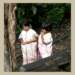 pict2503_small.jpg