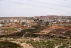 dsc04070_small.jpg