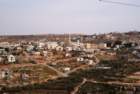dsc04071_small.jpg