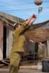 dsc04192_small.jpg