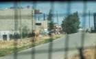 dsc04211_small.jpg