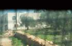 dsc04212_small.jpg
