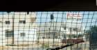 dsc04230_small.jpg