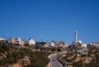 dsc04293_small.jpg
