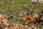 dsc04319_small.jpg