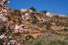 dsc04321_small.jpg