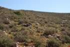 dsc04332_small.jpg