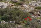 dsc04337_small.jpg