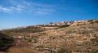 dsc04339_small.jpg