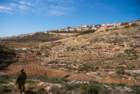 dsc04340_small.jpg
