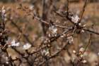 dsc04344_small.jpg