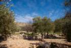 dsc04360_small.jpg