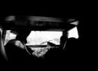 dsc04380_small.jpg