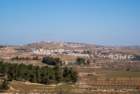 dsc04421_small.jpg