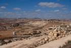 dsc04429_small.jpg