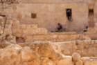 dsc04462_small.jpg