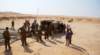 dsc01631_small.jpg