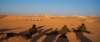 dsc01642_small.jpg
