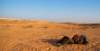 dsc01643_small.jpg
