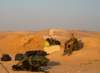 dsc01656_small.jpg