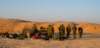 dsc01658_small.jpg