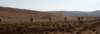 dsc01699_small.jpg
