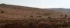 dsc01700_small.jpg