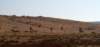 dsc01701_small.jpg