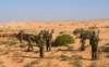 dsc01703_small.jpg