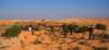 dsc01705_small.jpg