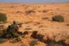 dsc01707_small.jpg