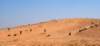 dsc01709_small.jpg