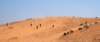 dsc01710_small.jpg