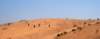 dsc01711_small.jpg