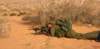 dsc01718_small.jpg