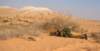 dsc01719_small.jpg