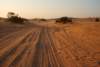 dsc01731_small.jpg