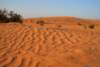 dsc01732_small.jpg