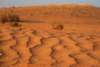 dsc01733_small.jpg