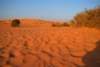 dsc01734_small.jpg