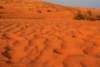 dsc01735_small.jpg