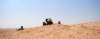 dsc01739_small.jpg