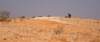 dsc01740_small.jpg