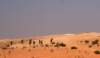 dsc01743_small.jpg
